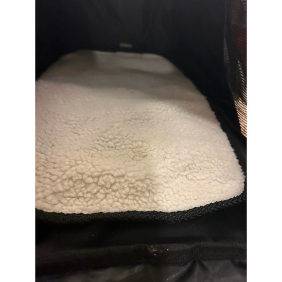 Luxury Travel for pets! - Picture 7 of 16